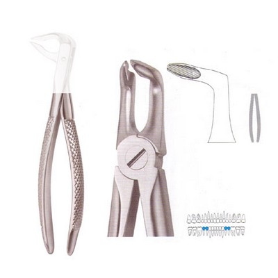 Extracting Forceps